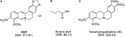 Gut Microbiota-Regulated Pharmacokinetics of Berberine and Active Metabolites in Beagle Dogs After Oral Administration